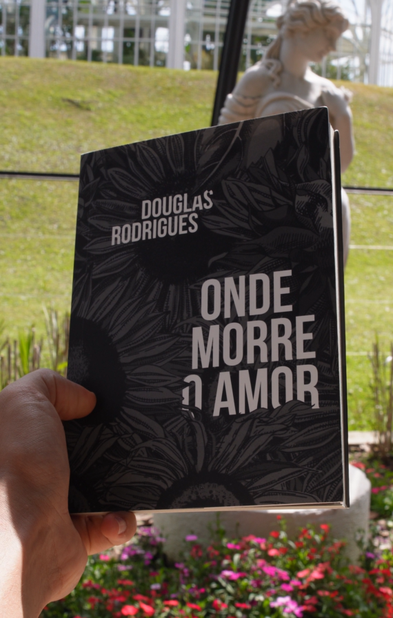 Livro Físico Onde Morre o Amor - Imagem 3